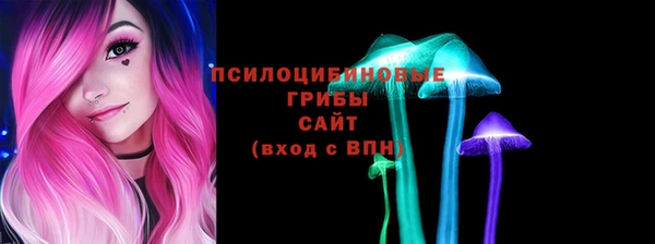 прущие грибы Навашино