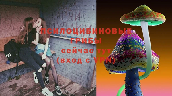 прущие грибы Навашино
