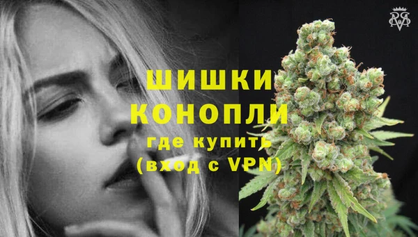 прущие грибы Навашино