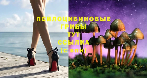 прущие грибы Навашино