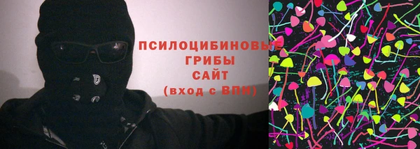 прущие грибы Навашино