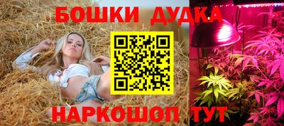 крисы Краснокаменск