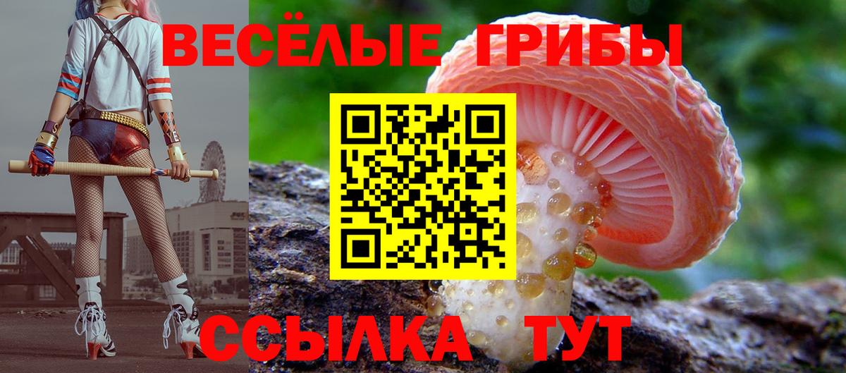 Пушкино  Псилоцибиновые грибы GOLDEN TEACHER  Вход с VPN 