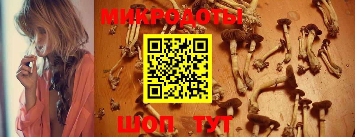 Галлюциногенные грибы GOLDEN TEACHER Пушкино