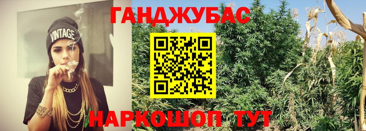 Шишки марихуана сатива Пушкино